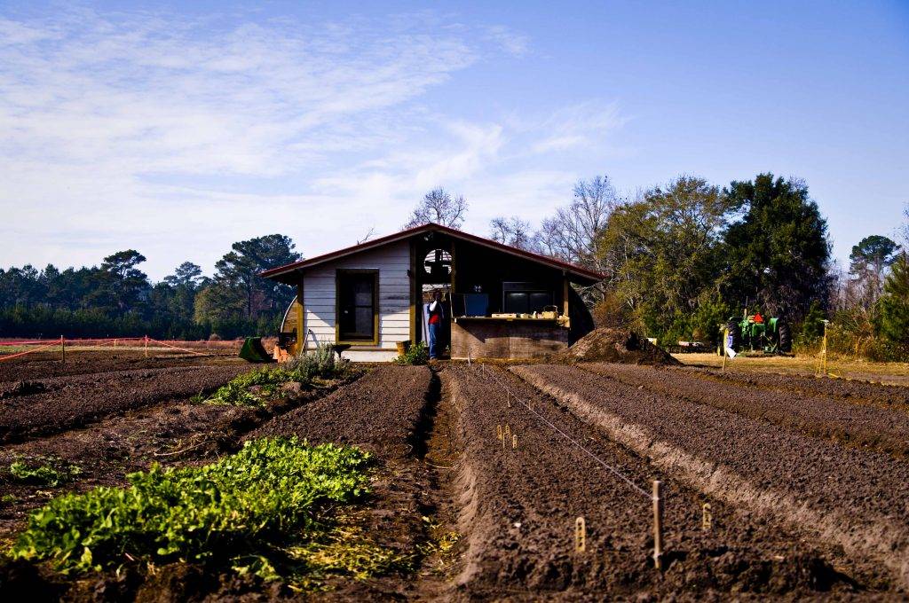Agéndese: Foro Internacional  de Agricultura Competitiva siglo XXI