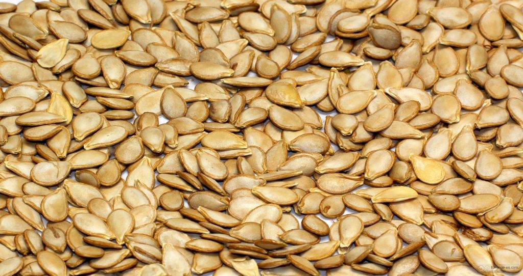 textura de las semillas de calabaza