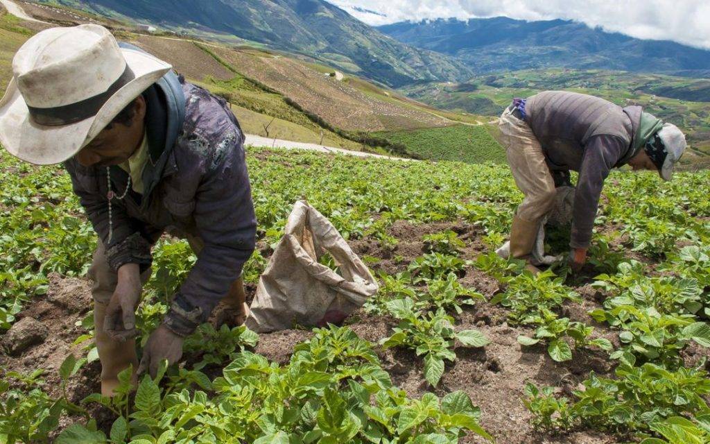 Agricultura en Colombia