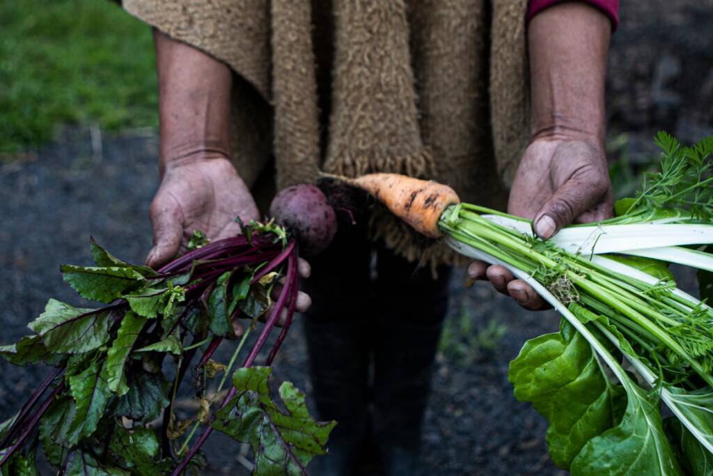 Un Libro Sobre Procesos Y Hábitos De Consumo Alimentario Periódico El Campesino La Voz Del 8448